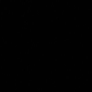 Meet your Posher, Benjamin